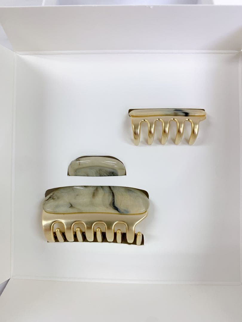 ＊【新品未使用】ALEXANDRE DE PARIS ヘアクリップ 2個セット