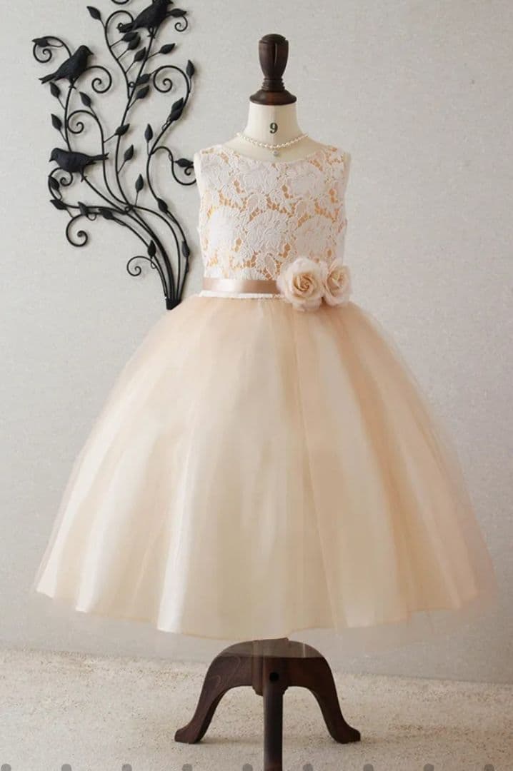 青い鳥　フォーマルドレス コンクール　発表会