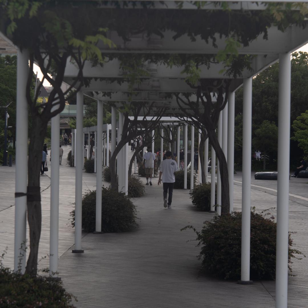 棚卸SALE！バブルボケ！TRIOPLAN 100mm ゼブラ