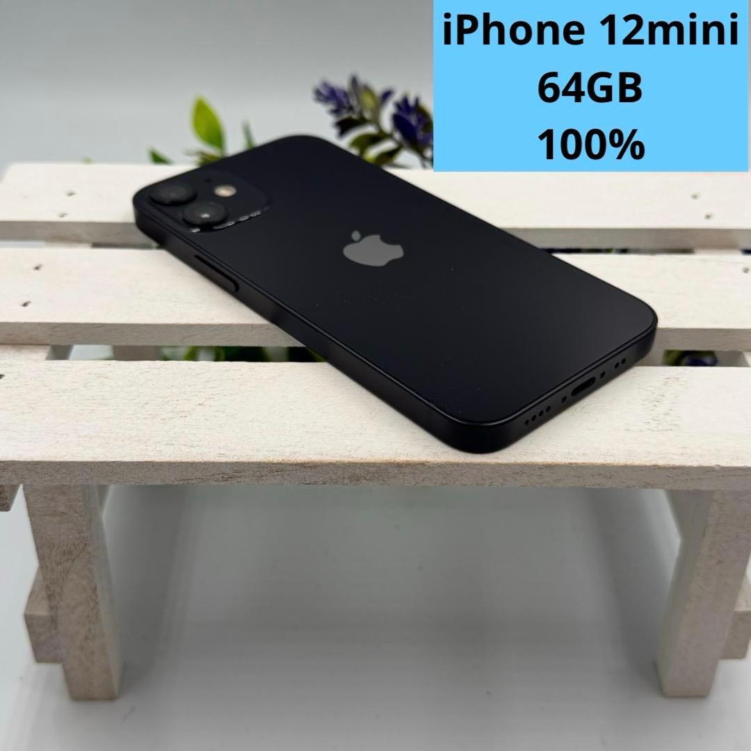 iPhone 12 mini 64GB ブラック 399