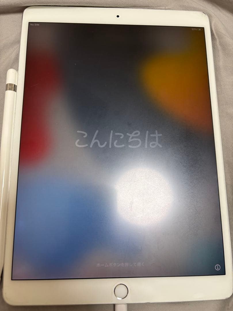 10.5インチiPad Pro 256GB ,Apple pencil