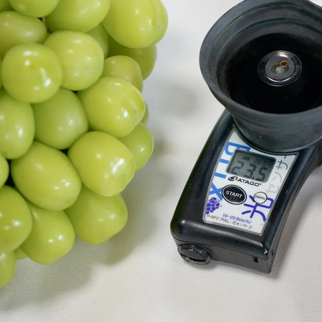 【岡山県産】 5kg 甘い高級シャインマスカット! 特大粒.大房 7房