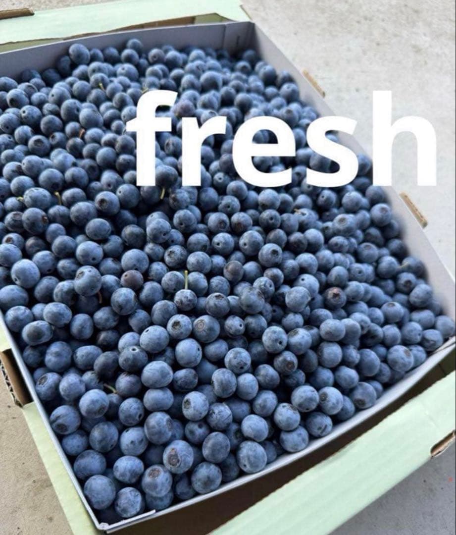 冷凍　ブルーベリー　　栽培期間中、農薬・化学肥料不使用 3キロ