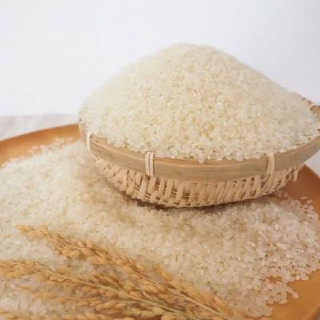 茨城県産 コシヒカリ 令和7年産　玄米 30kg