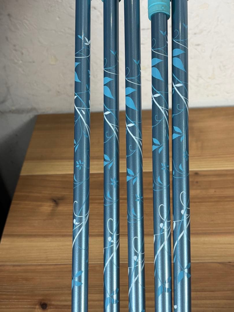 CallawayキャロウェイBIG BERTHA BETAレディス アイアン5本