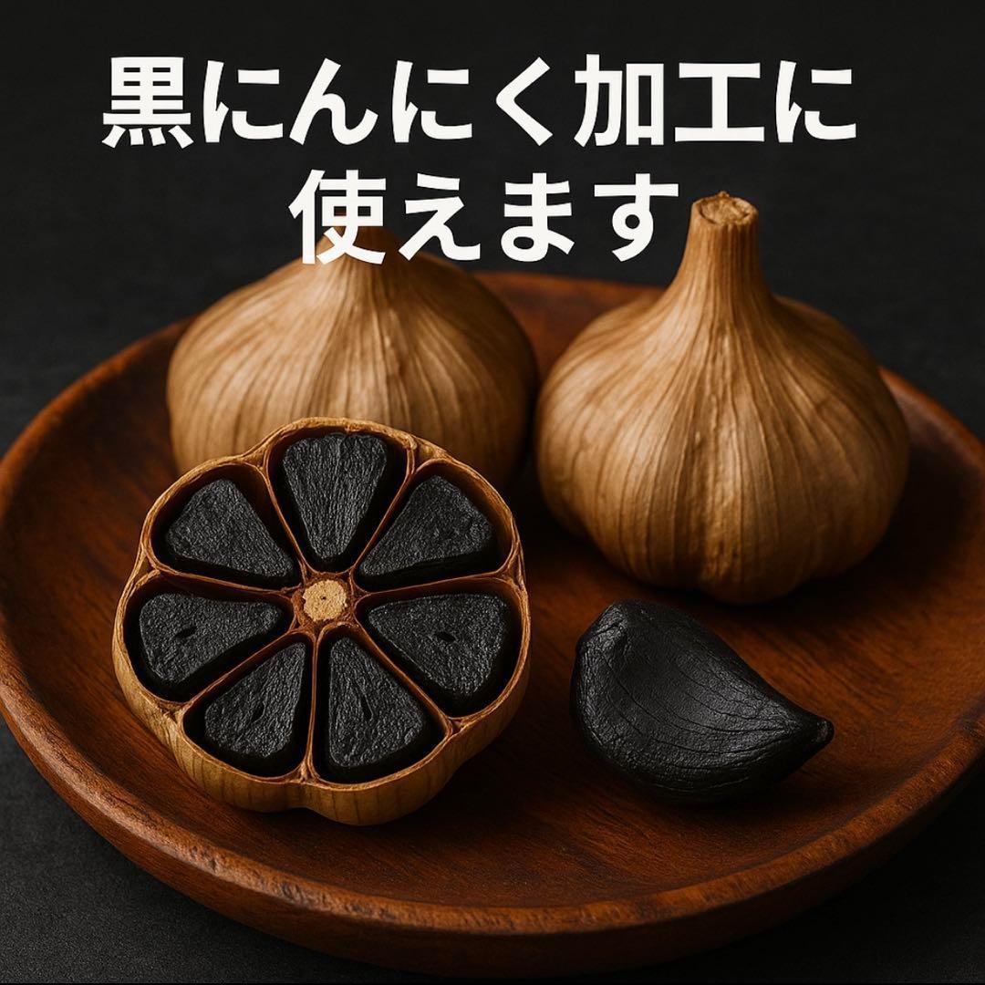 【大特価】青森県 福地ホワイト にんにく M 4kg 加工 種にんにく