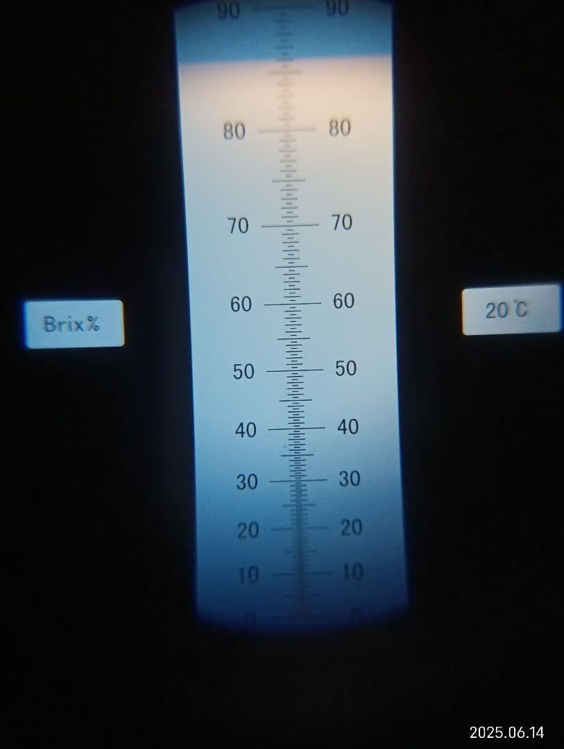 ヒヨコです　ニホンミツバチの百花蜜　国産天然ハチミツ　1180グラム　2本