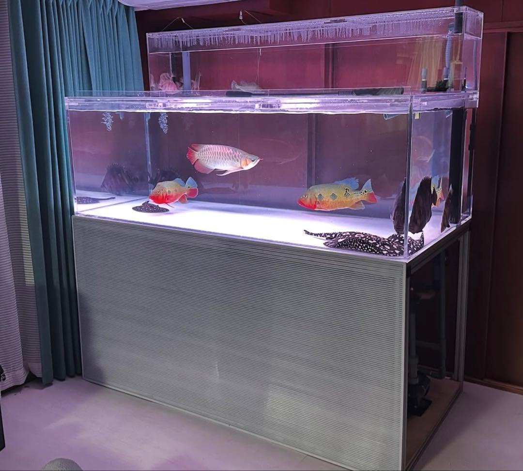 アクリル水槽　180×90×60【引取限定】