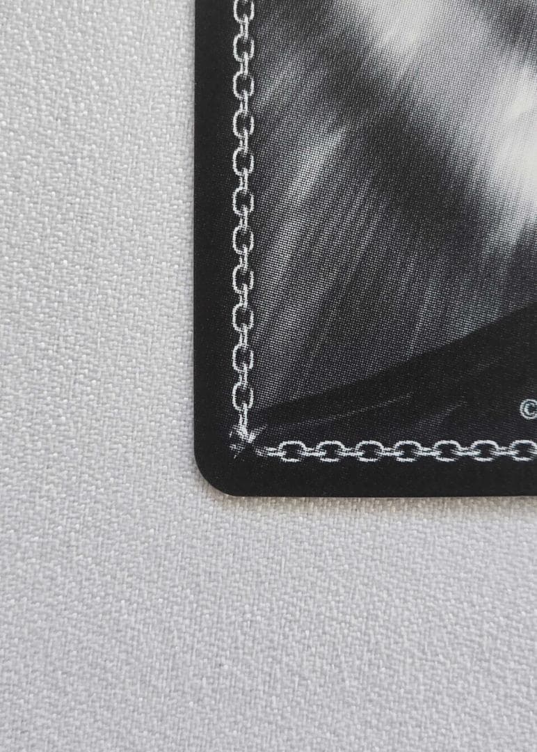 ヴァイスシュヴァルツ　電撃文庫 手乗りタイガー 大河 SP サイン