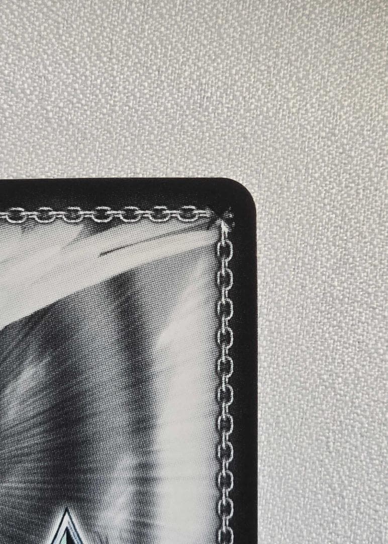 ヴァイスシュヴァルツ　電撃文庫 手乗りタイガー 大河 SP サイン