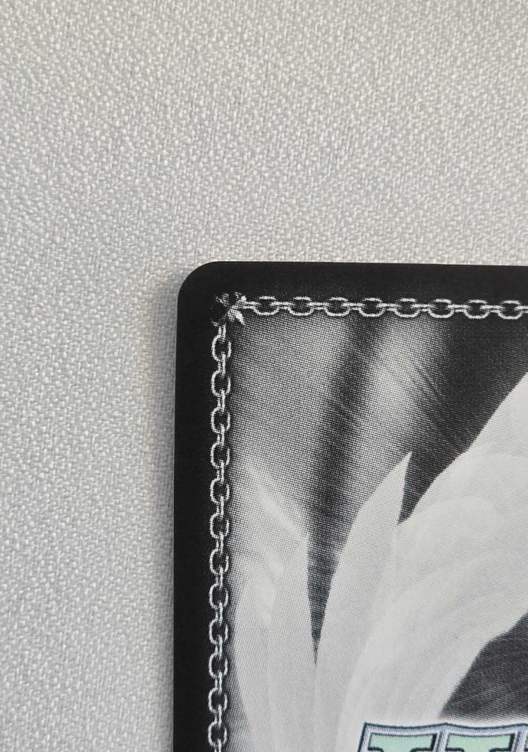 ヴァイスシュヴァルツ　電撃文庫 手乗りタイガー 大河 SP サイン