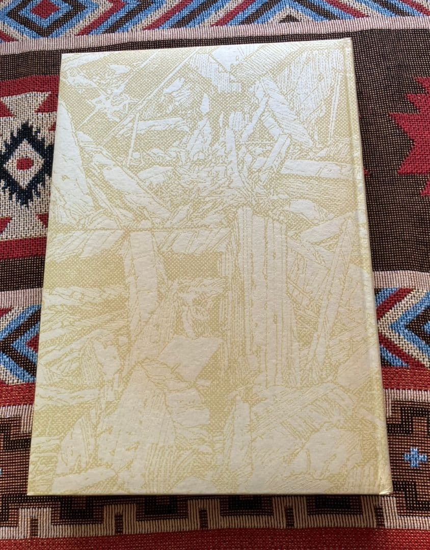 【美品】童夢　限定　大友克洋