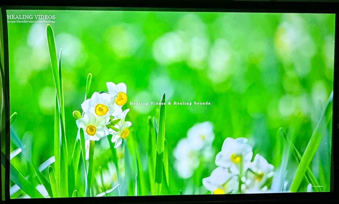 【値下げ可】XGIMI MOGO Pro +