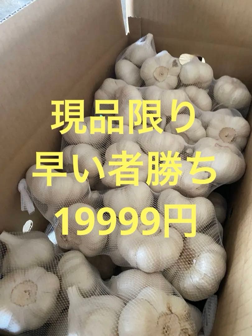 新物　青森県にんにく10Kg L
