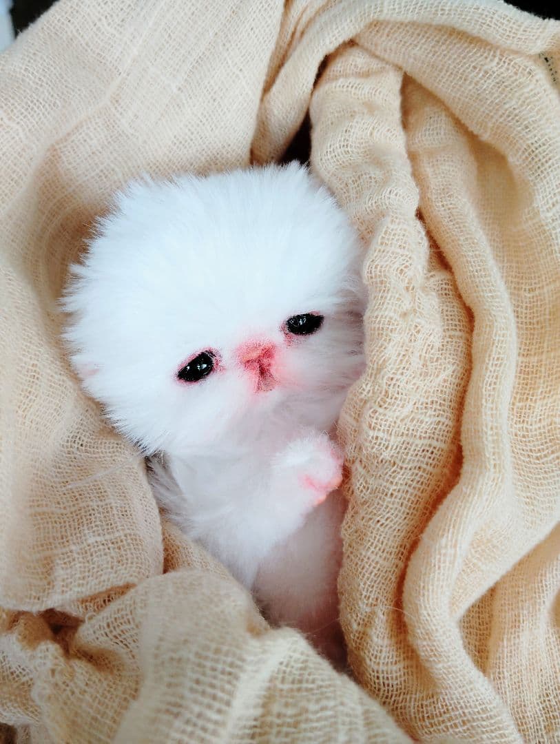 むぎゅサイズ♡お腹ぽっこり♡赤ちゃん子猫のピポちゃん♡アートドール♡ぬいぐるみ♡