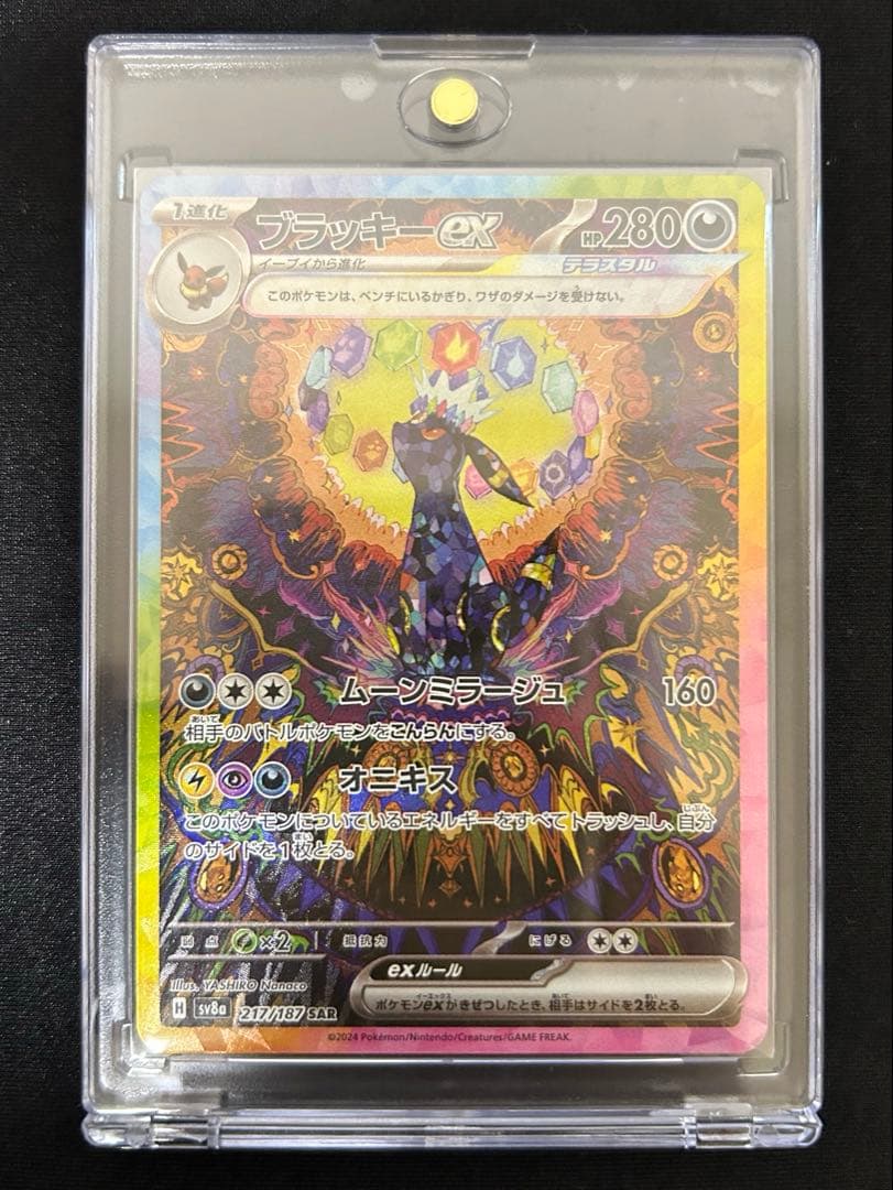 ブラッキーEX SAR テラスタルフェス