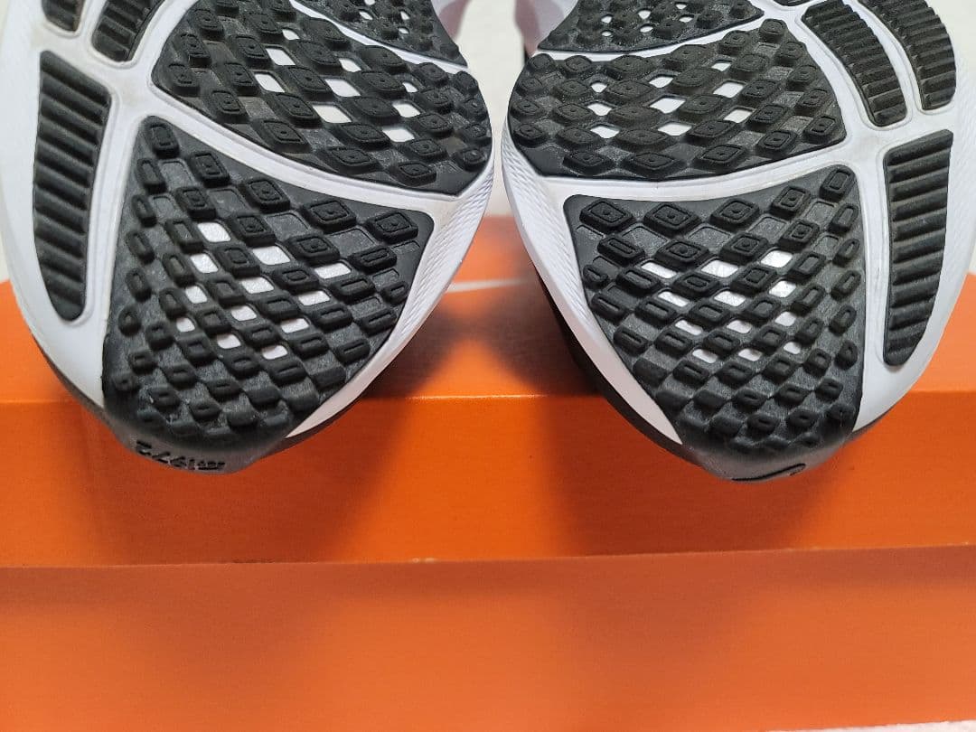 ナイキ ランニングシューズ エア ズーム ペガサス フライイーズ　25cm