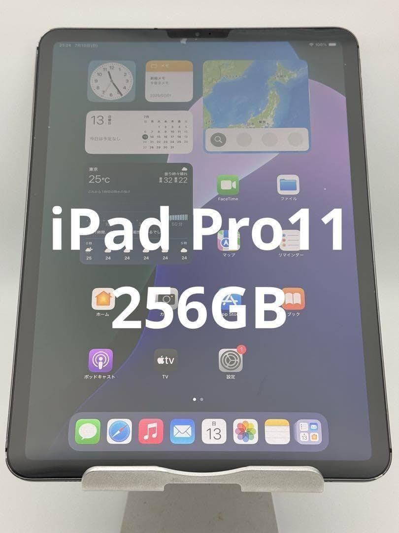 iPad Pro11 第1世代 256GB ブラック