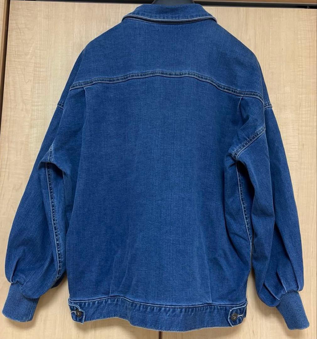 BEARDSLEY ビアズリー　袖パフGジャン