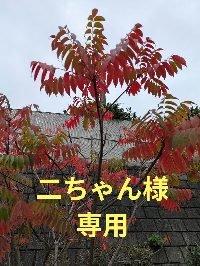 CHANEL メタルチェーンベルト ロゴチャーム付き