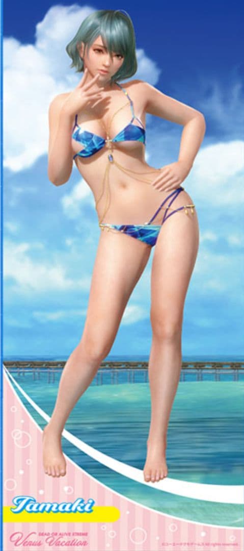 DEAD OR ALIVE ロングタオル -たまき-　購入ショップ購入　ブイブイ