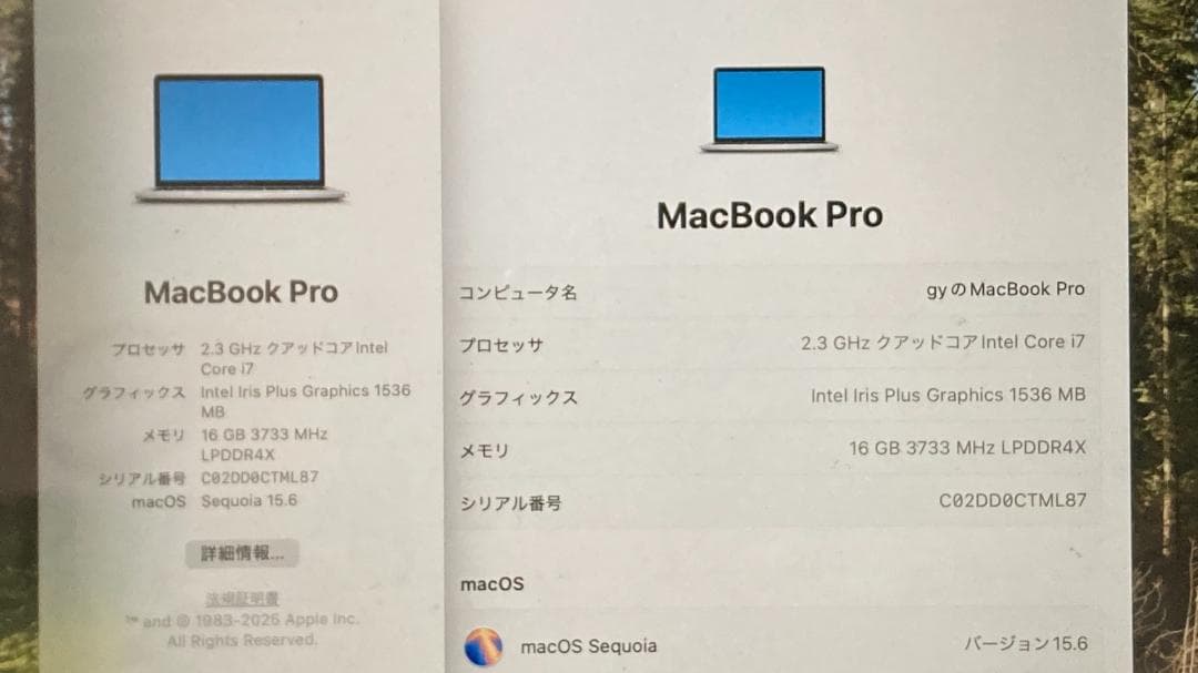 MacBook Pro 13インチ 2020 A2251 16/512GB