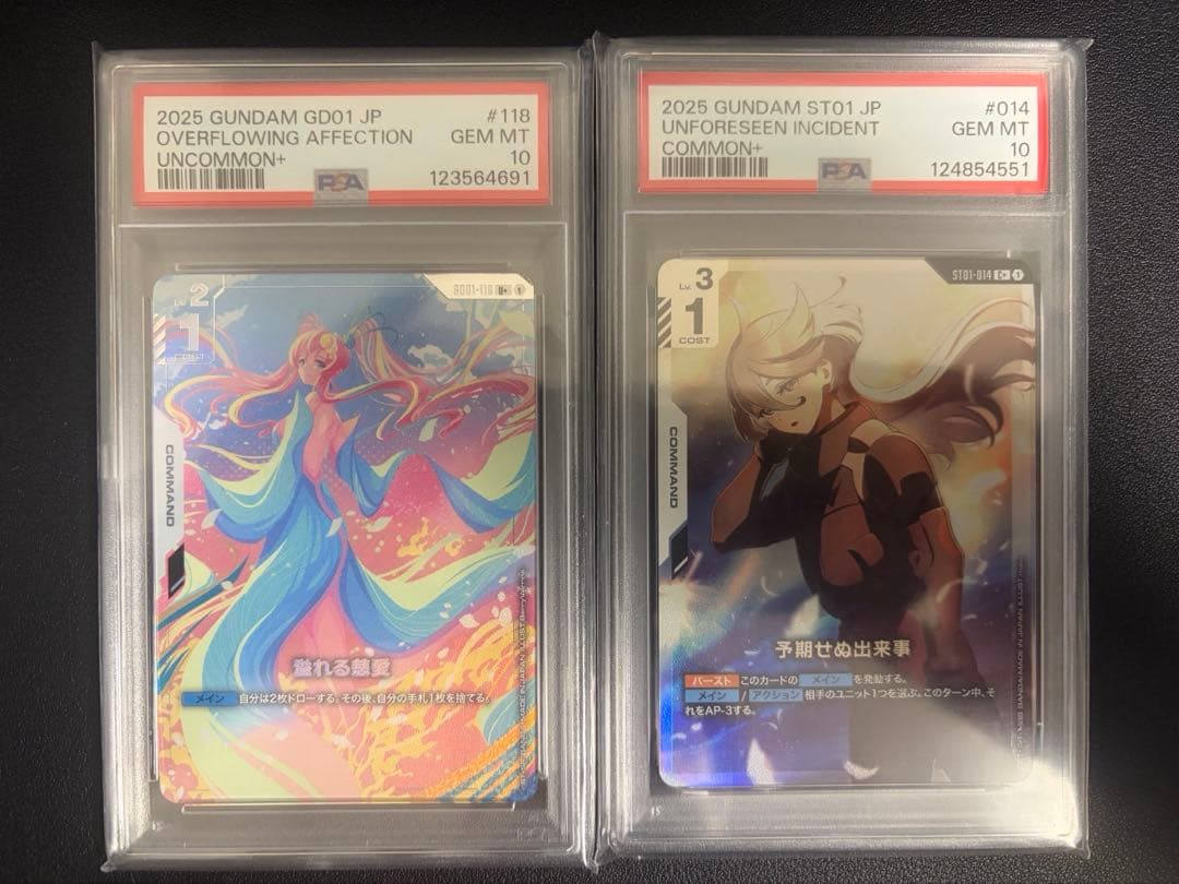 PSA10 溢れる慈愛　予期せぬ出来事　セット