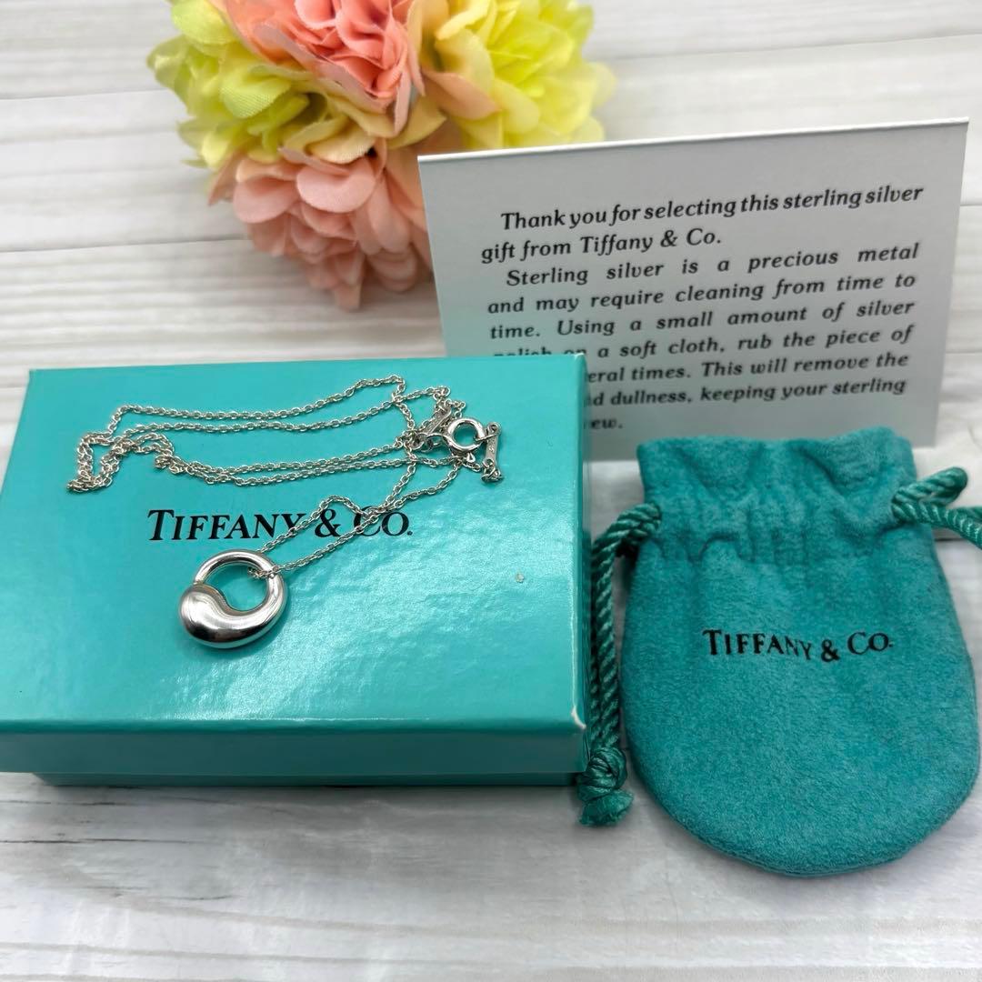 TIFFANY.Co.【極美品】エターナルサークルネックレス　925 付属品付