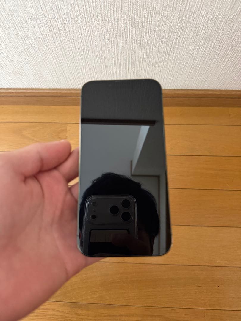 Apple iPhone 13 Pro 本体 ミッドナイトグリーン