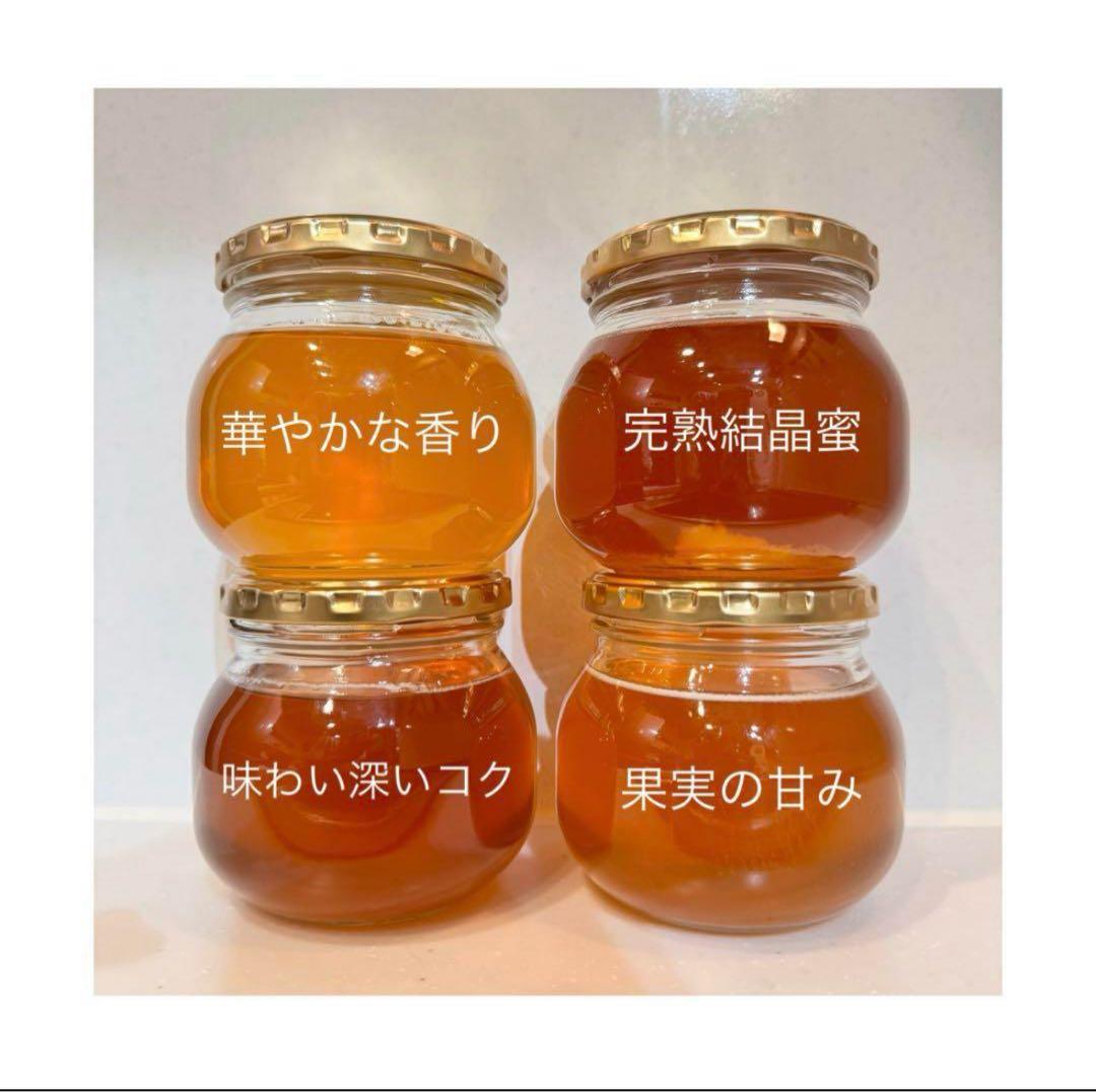 高知県産　生はちみつ　日本蜜蜂　非加熱　無添加