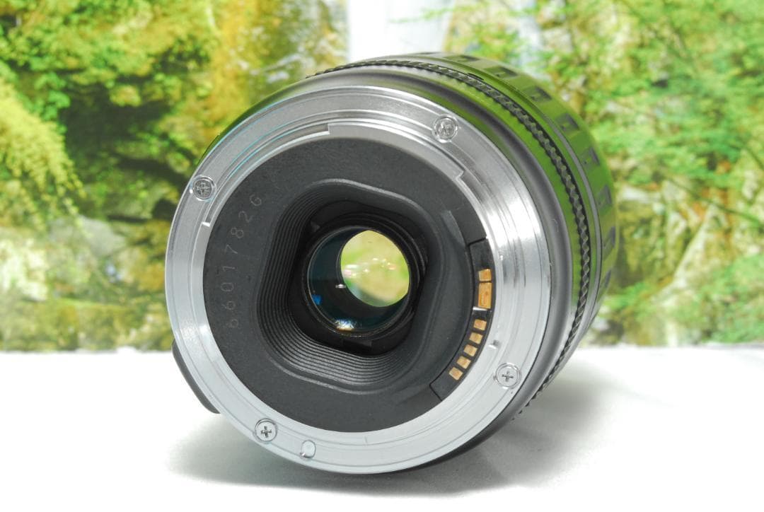 ✨中級機に劣らない高性能✨Canon Kiss X9i✨高速連写✨Wi-Fi対応