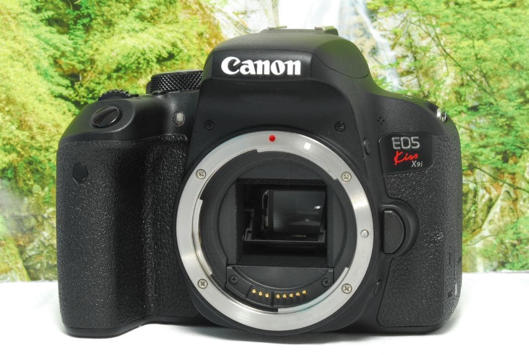 ✨中級機に劣らない高性能✨Canon Kiss X9i✨高速連写✨Wi-Fi対応