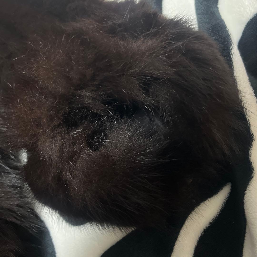 SAGA FOX ダークブラウンファーコート