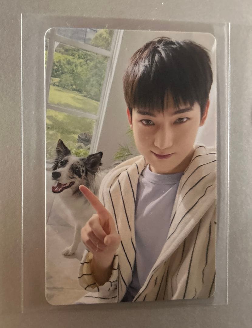 ENHYPENアンケートトレカ　全メンバー