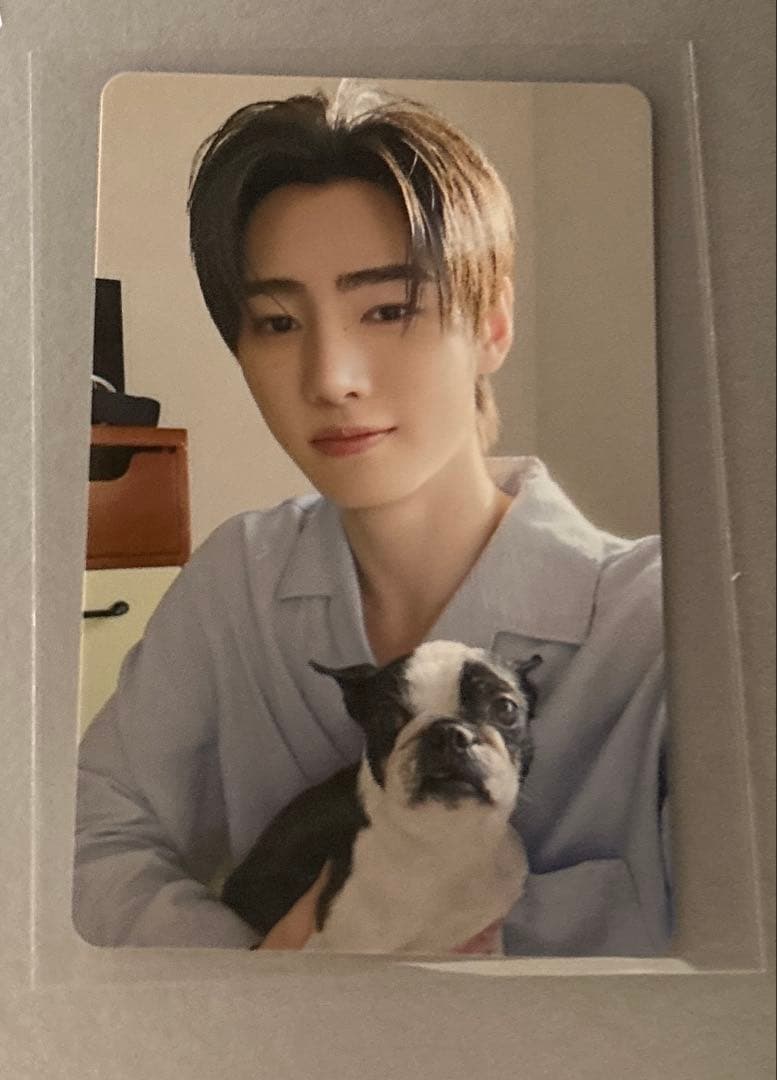 ENHYPENアンケートトレカ　全メンバー