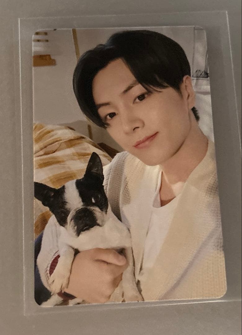 ENHYPENアンケートトレカ　全メンバー