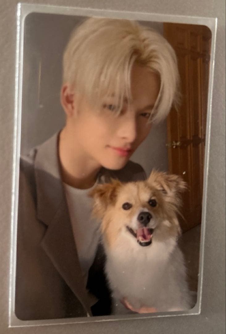 ENHYPENアンケートトレカ　全メンバー