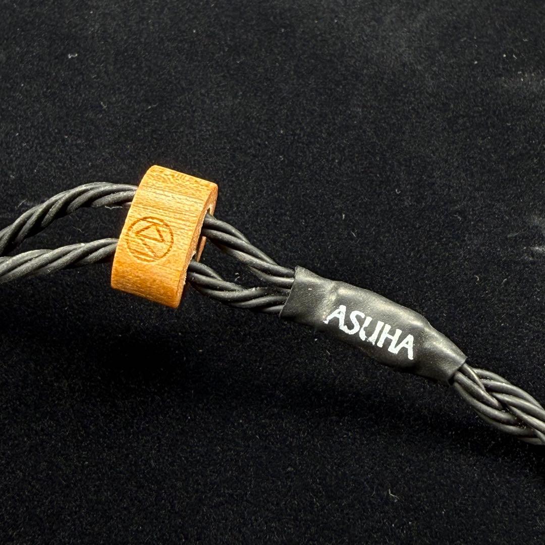 ゼンハイザーIE 900+ブリスオーディオASUHA-LEケーブル