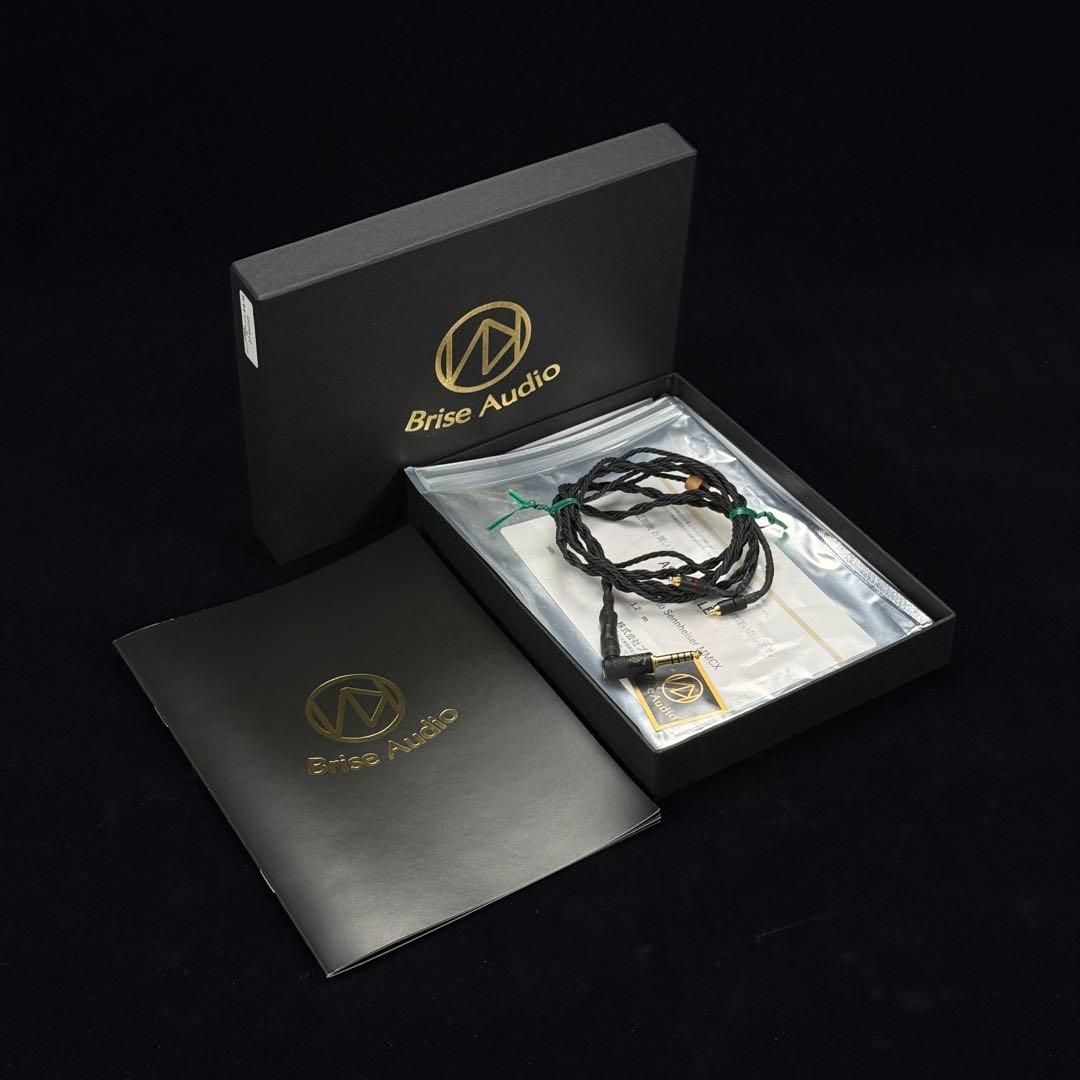 ゼンハイザーIE 900+ブリスオーディオASUHA-LEケーブル