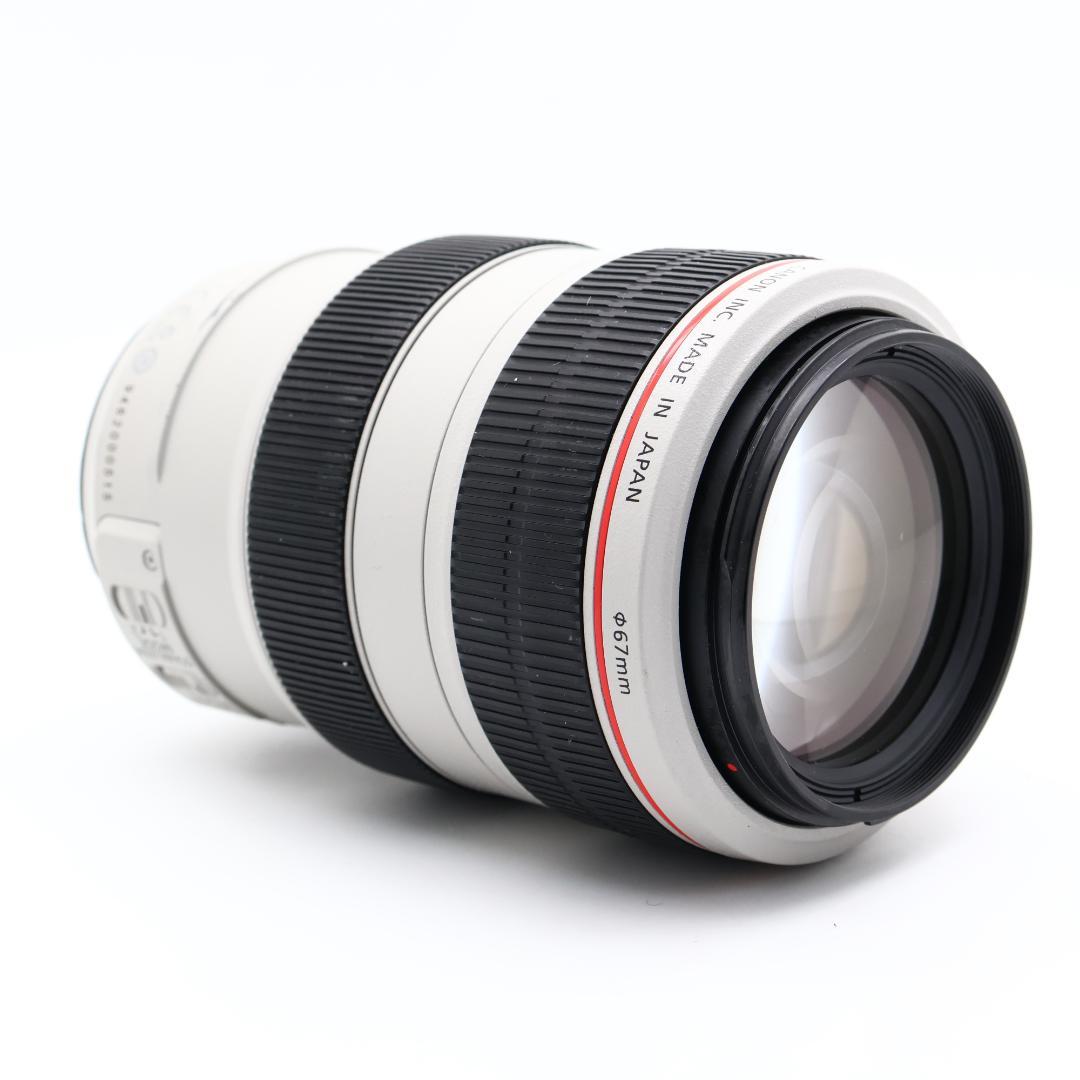 ■完動品 Canon EF 70-300mm F4.5-5.6 L IS USM