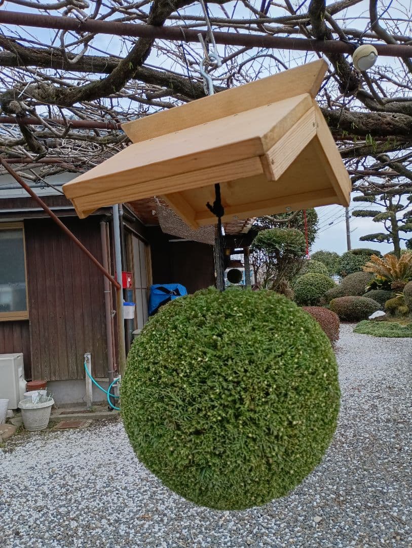 杉玉、屋根(白木作り）付き 約30cm