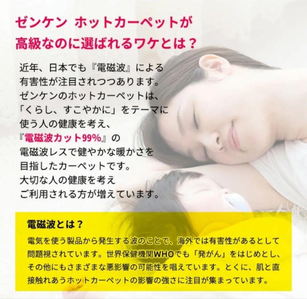 875　未使用品　ゼンケン　電磁波(磁界)99%カット　電気ホットカーペット