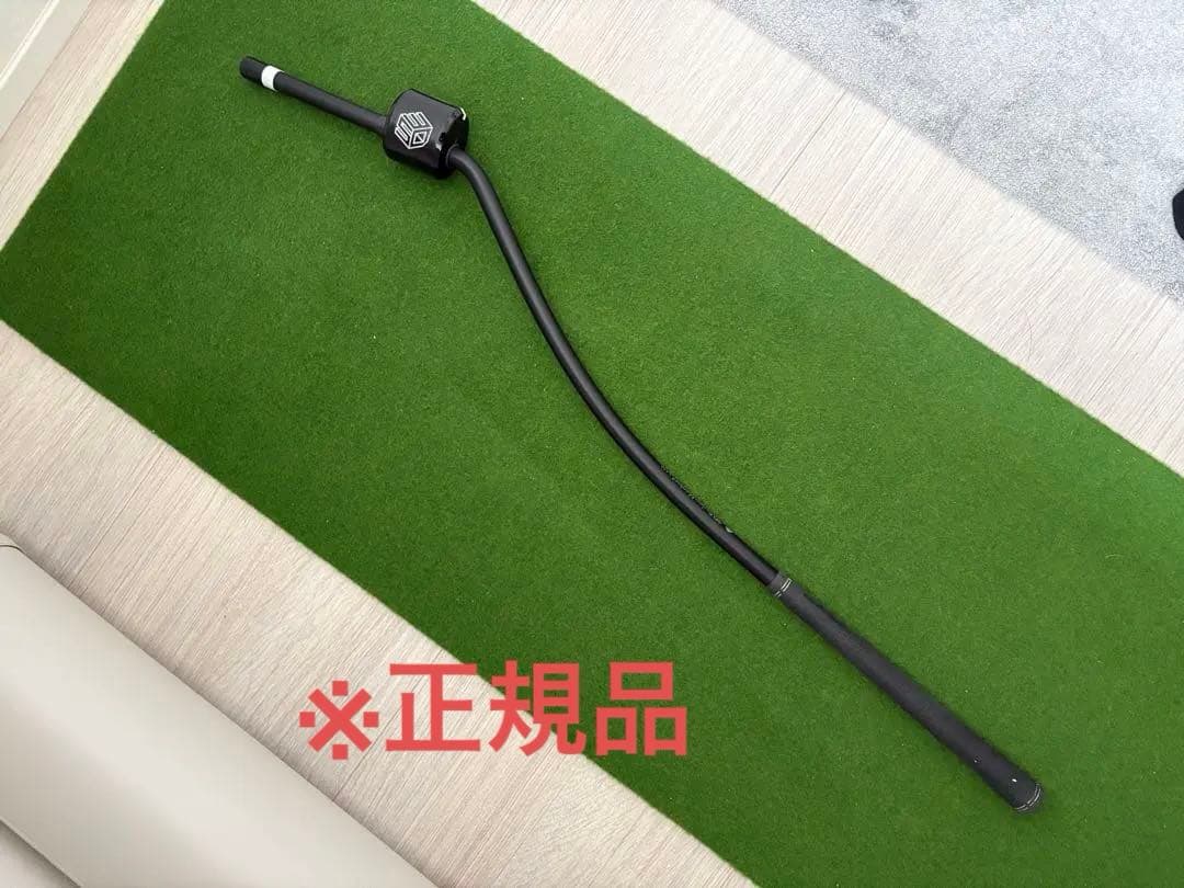 3D SwingMentor 3Dスイングメンター タスクゴルフ