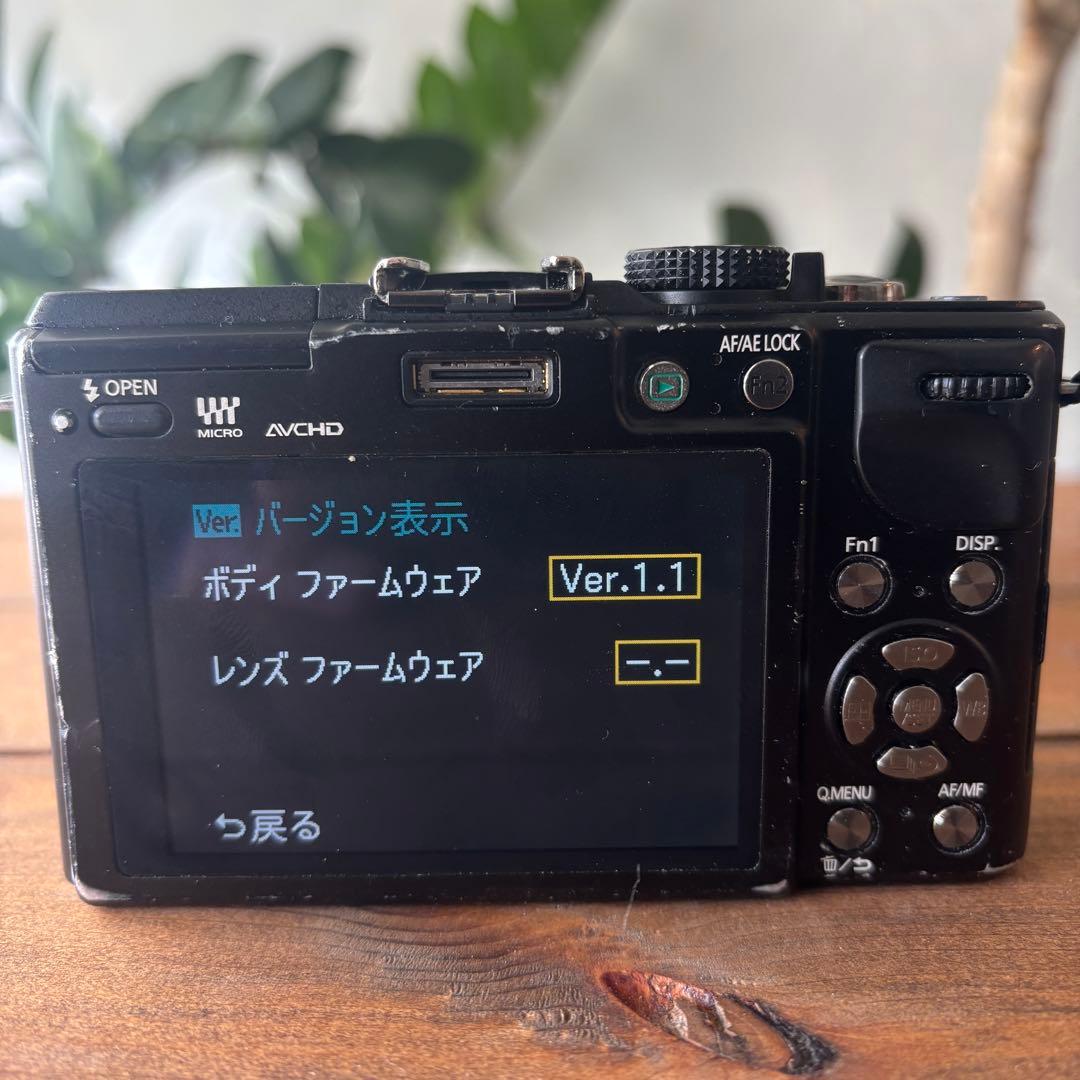 LUMIX GX1 ミラーレスカメラ 本体と充電器