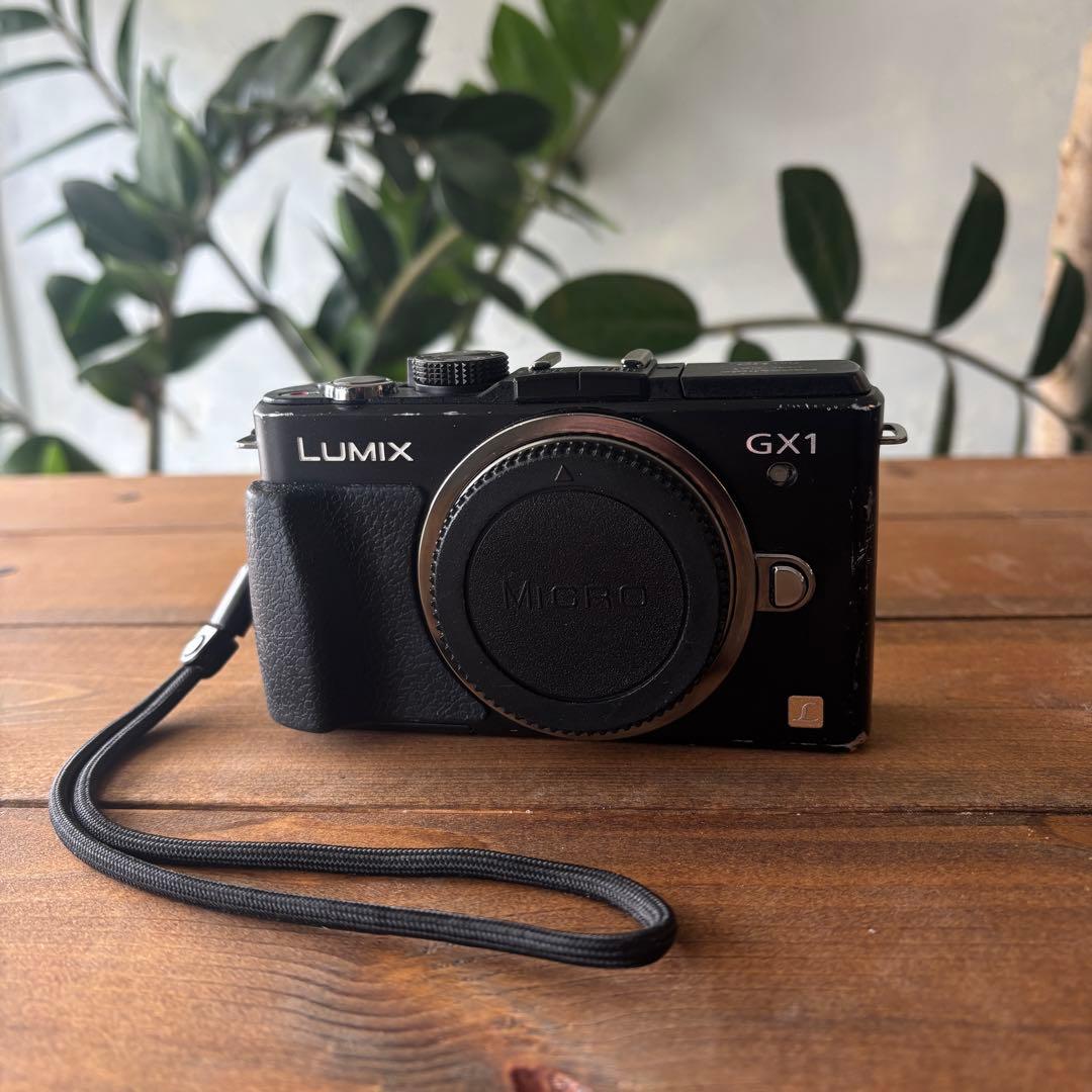 LUMIX GX1 ミラーレスカメラ 本体と充電器