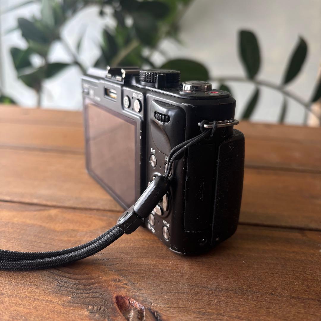 LUMIX GX1 ミラーレスカメラ 本体と充電器