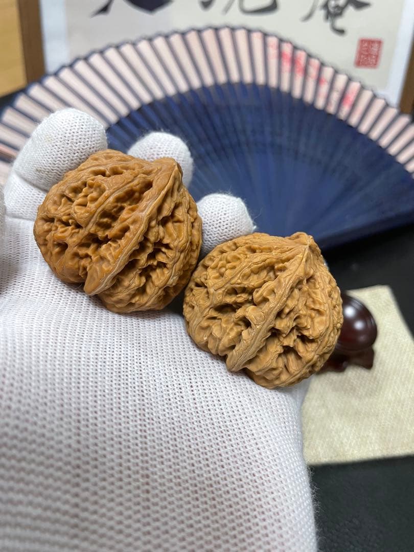 キャニオン　クルミ A028、216、247、A015