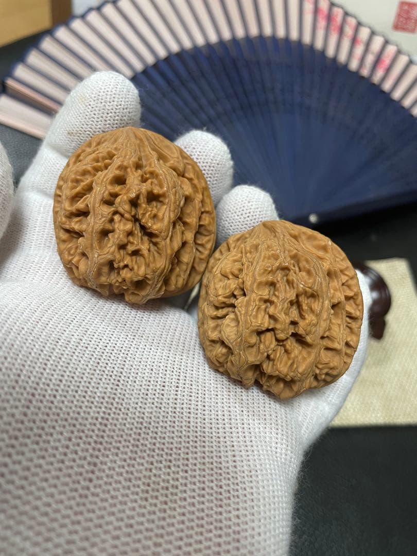 キャニオン　クルミ A028、216、247、A015