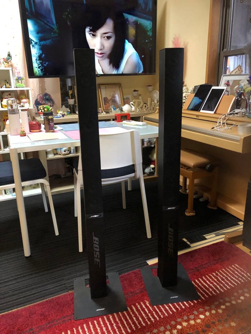 BOSE ボーズ 55WER