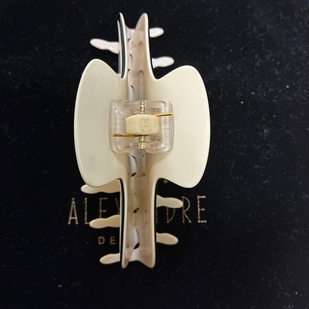 ALEXANDRE DE PARIS ヘアクリップ(ポーチ付)